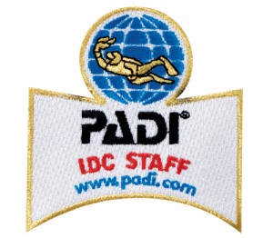 Staff Instructor