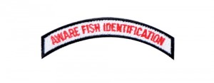 Aware Fish Identification